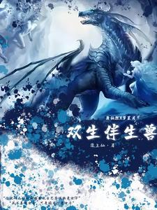 双生伴侣是什么意思