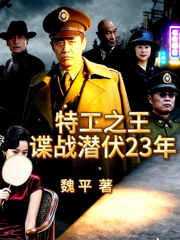 特工间谍战电视剧