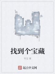 寻找宝藏怎么说