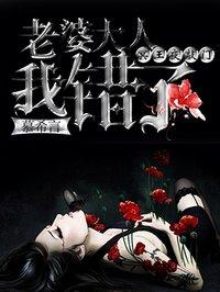 冥王夜敲门老婆大人我错了无广告阅读